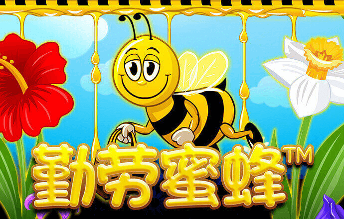 bw体育平台