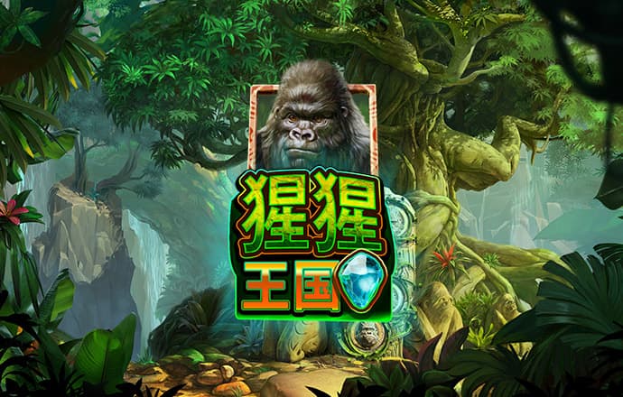 金沙990下载